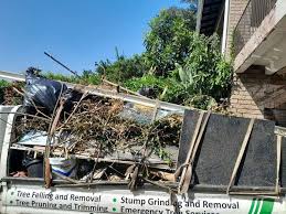 Best Moving and Downsizing Cleanouts  in Kasson, MN